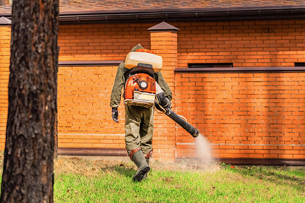 Trusted Rodent Control service in West Pleasant View, CO - Nex Pest Control